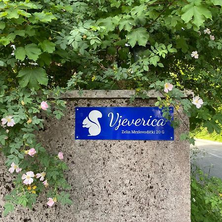 Apartments Vjeverica Zelin Mrzlovodicki Екстериор снимка