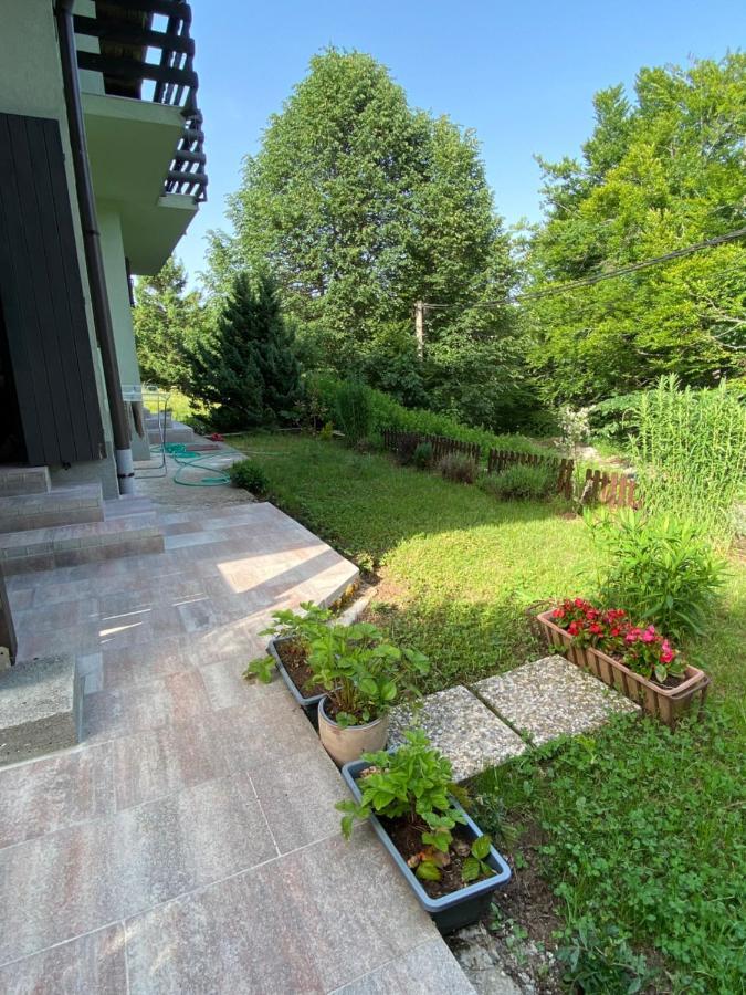 Apartments Vjeverica Zelin Mrzlovodicki Екстериор снимка